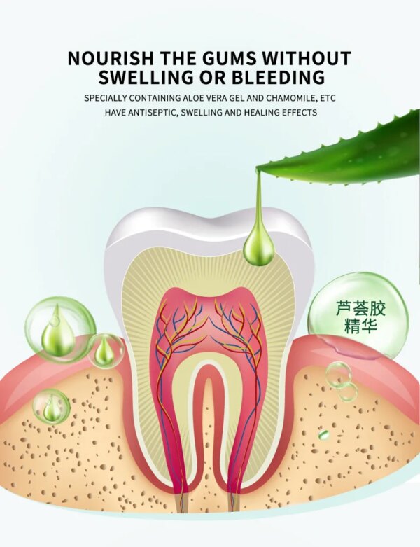 dentifrice aloe vera, hygiène buccale, haleine fraîche, nettoyage en profondeur pour éliminer l'haleine