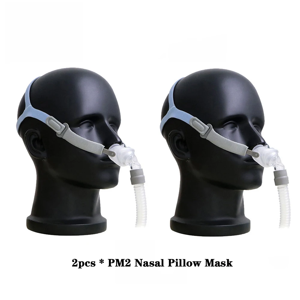 2 PCS PM2