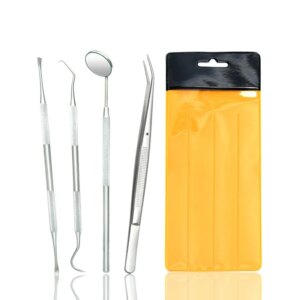 kit blanchiment dentaire professionnel 3/4/5pcs En Acier Inoxydable Outils Dentaires