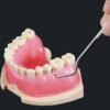 kit blanchiment dentaire professionnel portables, outil de cueillette de dents