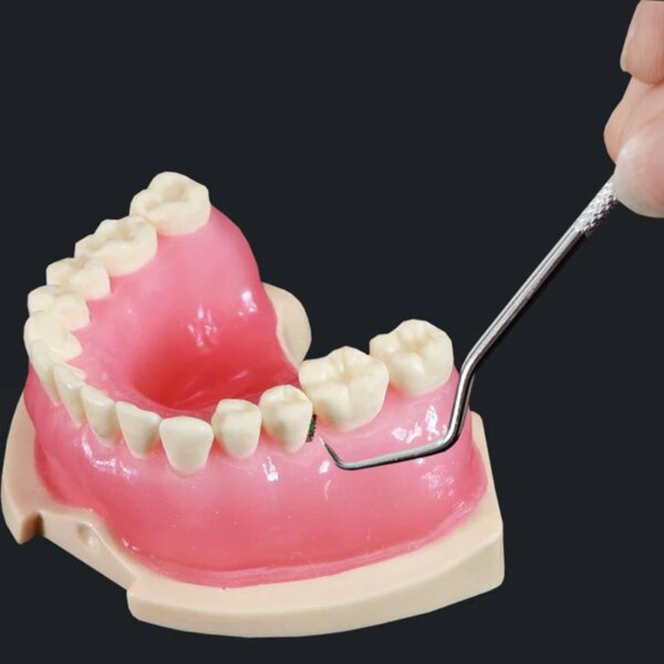 kit blanchiment dentaire professionnel portables, outil de cueillette de dents