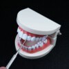 kit blanchiment dentaire professionnel portables, outil de cueillette de dents