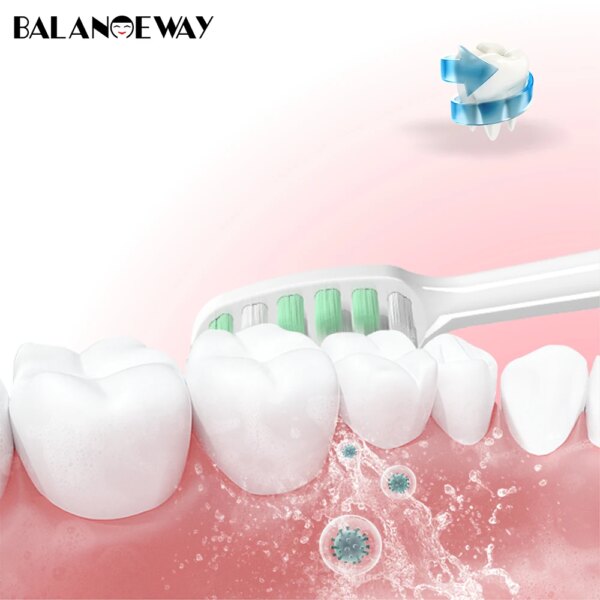 brosse a dent BalanceWay BH701 2-8 pièces têtes de brosse à dents de rechange à poils