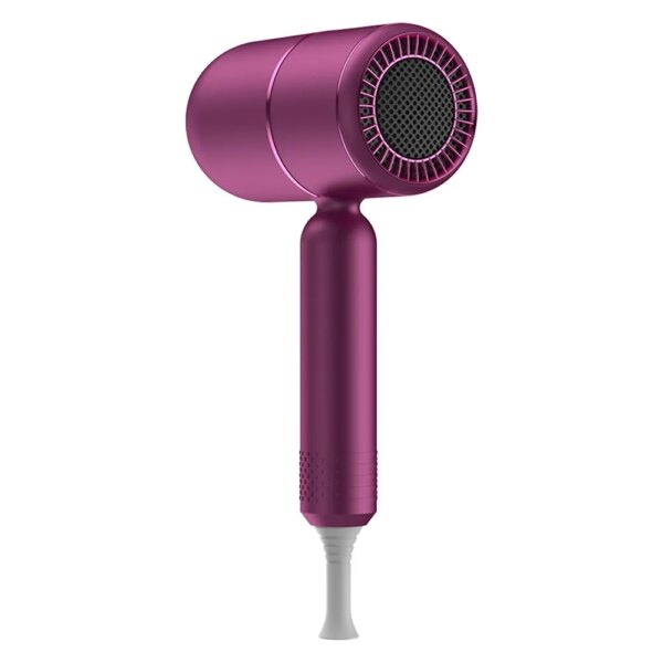 Sèche-cheveux professionnel portable avec diffuseur, sèche-cheveux ionique, violet, cheveux bouclés