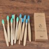 brosse à dent bambou naturel, lot de 10 pièces