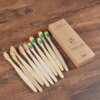 brosse à dent bambou naturel, lot de 10 pièces