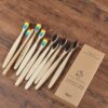 brosse à dent bambou naturel, lot de 10 pièces