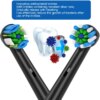 brosse a dent  Recharge pour têtes de brosse à dents électrique, 4 pièces/ensemble