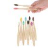 Brosse à dents colorée en bambou naturel, poils souples en charbon de bois écologique, 5/10 pièces