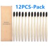 Brosse à Dents en Bambou au Charbon de Bois Naturel, Écologique, Bionickel able, Soins Buccaux, Santé, 12/10 Pièces