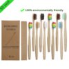 Brosse à Dents en Bambou Naturel, Bois, Poils Souples, Fibre d'Elum, Soins Buccaux Écologiques, 50 Pièces, Service