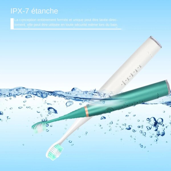 détartrage dentaire Dispositif électrique de nettoyage dentaire